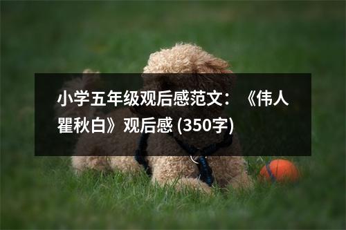 小學五年級觀后感范文：《偉人瞿秋白》觀后感 (350字)