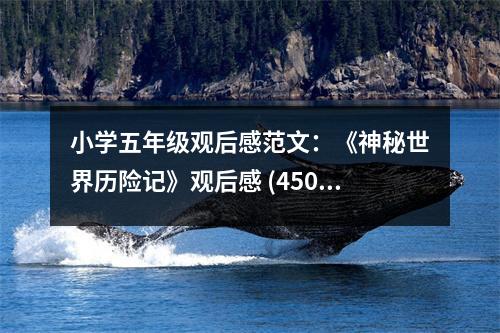 小學五年級觀后感范文：《神秘世界歷險記》觀后感 (450字)