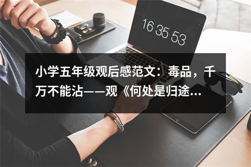 小學(xué)五年級(jí)觀后感范文：毒品，千萬(wàn)不能沾——觀《何處是歸途》有感 (350字)