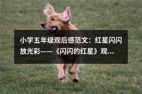小學(xué)五年級(jí)觀后感范文：紅星閃閃放光彩——《閃閃的紅星》觀后感 (400字)