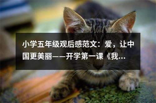 小學(xué)五年級(jí)觀后感范文：愛，讓中國(guó)更美麗——開學(xué)第一課《我愛你，中國(guó)》觀后感 (500字)