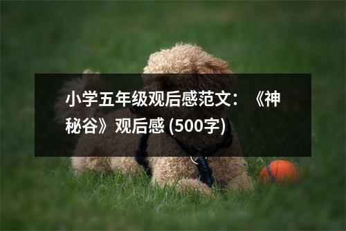 小學(xué)五年級觀后感范文：《神秘谷》觀后感 (500字)