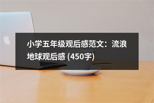 小學(xué)五年級觀后感范文：流浪地球觀后感 (450字)
