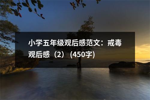 小學五年級觀后感范文：戒毒觀后感（2） (450字)