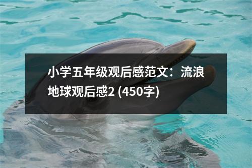 小學五年級觀后感范文：流浪地球觀后感2 (450字)