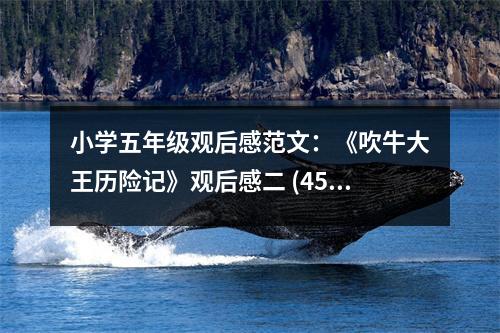 小學(xué)五年級觀后感范文：《吹牛大王歷險(xiǎn)記》觀后感二 (450字)