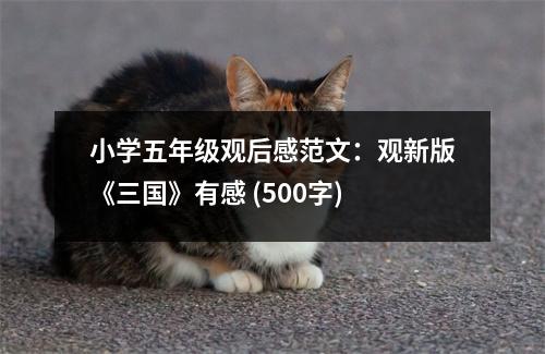 小學(xué)五年級(jí)觀后感范文：觀新版《三國(guó)》有感 (500字)