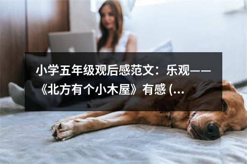 小學(xué)五年級(jí)觀后感范文：樂(lè)觀——《北方有個(gè)小木屋》有感 (300字)