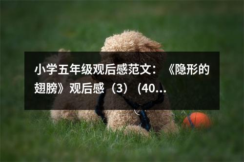 小學(xué)五年級(jí)觀后感范文：《隱形的翅膀》觀后感（3） (400字)