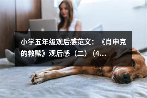 小學五年級觀后感范文：《肖申克的救贖》觀后感（二） (400字)