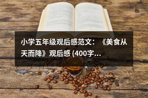 小學(xué)五年級(jí)觀后感范文：《美食從天而降》觀后感 (400字)