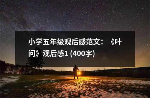 小學(xué)五年級(jí)觀后感范文：《葉問》觀后感1 (400字)