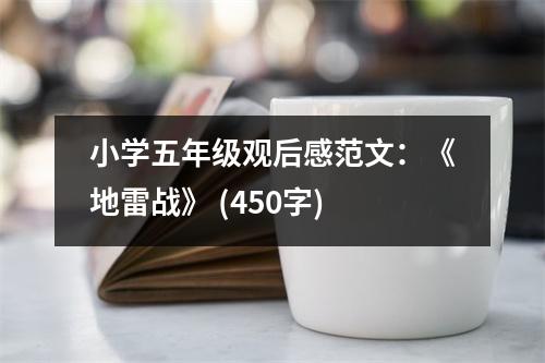 小學(xué)五年級(jí)觀后感范文：《地雷戰(zhàn)》 (450字)