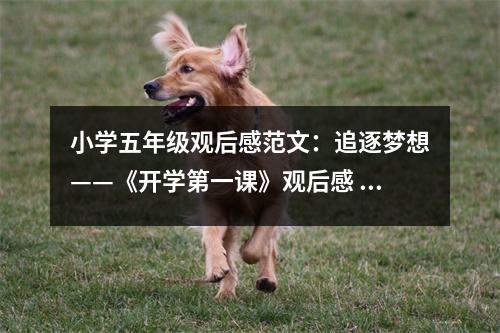 小學(xué)五年級(jí)觀后感范文：追逐夢(mèng)想——《開學(xué)第一課》觀后感 (400字)