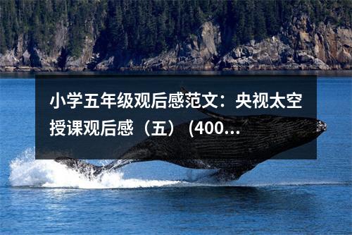 小學(xué)五年級觀后感范文：央視太空授課觀后感（五） (400字)