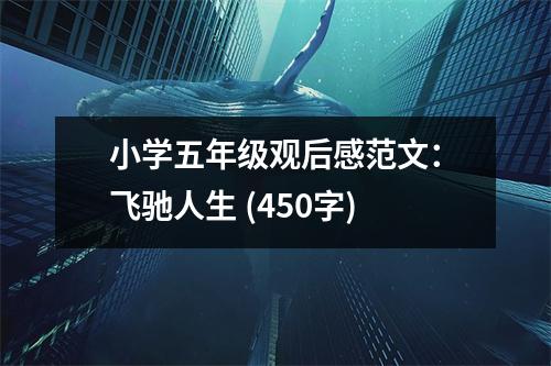 小學五年級觀后感范文：飛馳人生 (450字)