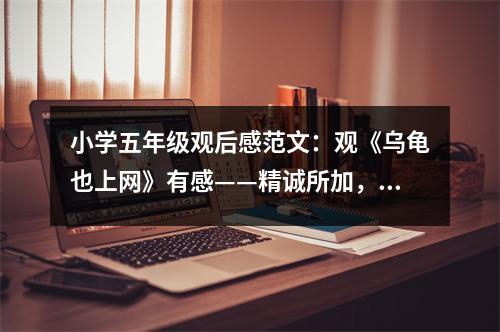 小學五年級觀后感范文：觀《烏龜也上網》有感——精誠所加，金石為開 (450字)