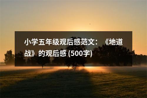 小學(xué)五年級(jí)觀后感范文：《地道戰(zhàn)》的觀后感 (500字)