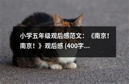 小學(xué)五年級(jí)觀后感范文：《南京！南京！》觀后感 (400字)