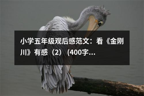 小學(xué)五年級(jí)觀后感范文：看《金剛川》有感（2） (400字)