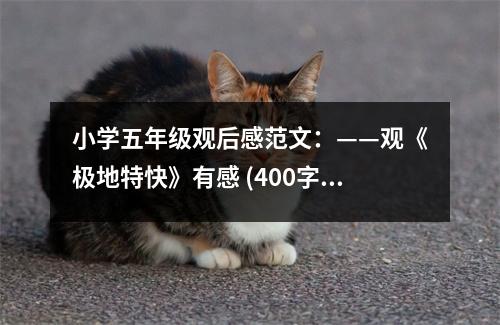 小學(xué)五年級觀后感范文：——觀《極地特快》有感 (400字)