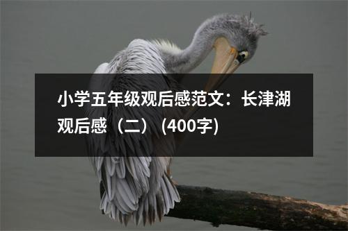小學(xué)五年級觀后感范文：長津湖觀后感（二） (400字)