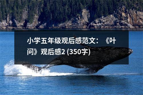 小學(xué)五年級(jí)觀后感范文：《葉問》觀后感2 (350字)
