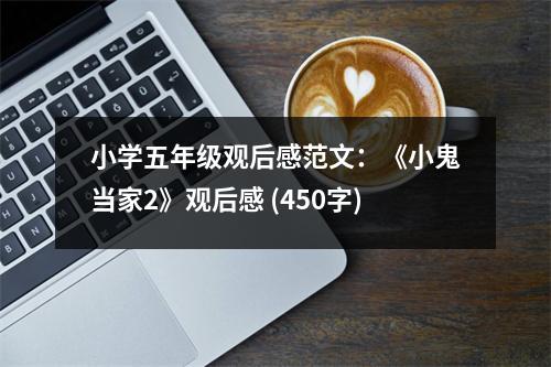 小學(xué)五年級觀后感范文：《小鬼當(dāng)家2》觀后感 (450字)