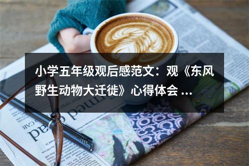 小學(xué)五年級(jí)觀后感范文：觀《東風(fēng)野生動(dòng)物大遷徙》心得體會(huì) (400字)