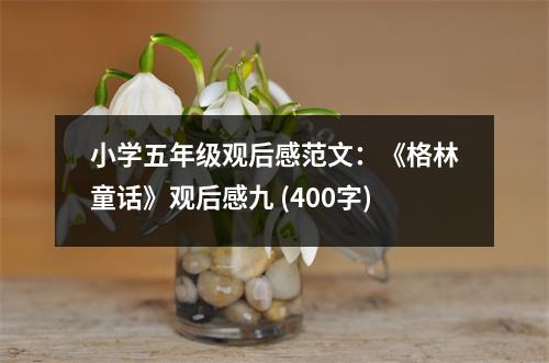 小學(xué)五年級觀后感范文：《格林童話》觀后感九 (400字)