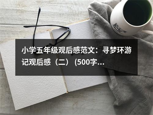 小學(xué)五年級觀后感范文：尋夢環(huán)游記觀后感（二） (500字)