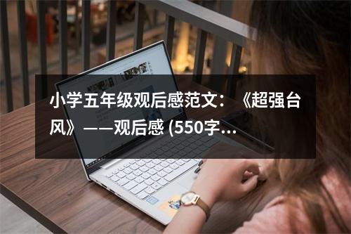 小學(xué)五年級觀后感范文：《超強(qiáng)臺風(fēng)》——觀后感 (550字)