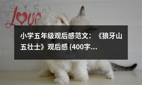 小學五年級觀后感范文：《狼牙山五壯士》觀后感 (400字)