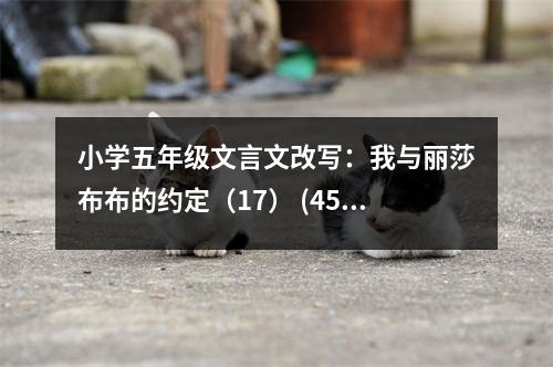 小學(xué)五年級文言文改寫：我與麗莎布布的約定（17） (450字)