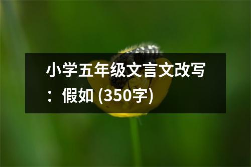 小學(xué)五年級文言文改寫：假如 (350字)