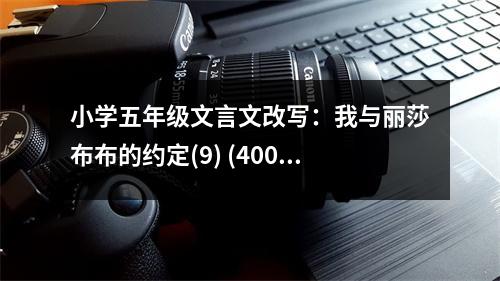 小學(xué)五年級文言文改寫：我與麗莎布布的約定(9) (400字)