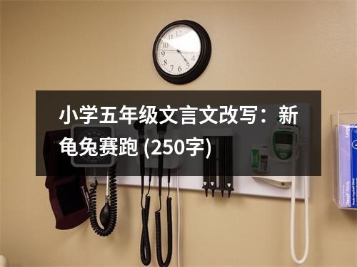 小學(xué)五年級文言文改寫：新龜兔賽跑 (250字)
