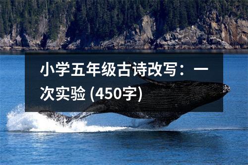 小學(xué)五年級古詩改寫：一次實驗 (450字)