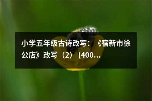 小學(xué)五年級(jí)古詩(shī)改寫：《宿新市徐公店》改寫（2） (400字)