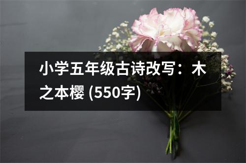 小學(xué)五年級(jí)古詩(shī)改寫：木之本櫻 (550字)
