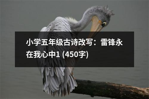 小學(xué)五年級(jí)古詩(shī)改寫：雷鋒永在我心中1 (450字)