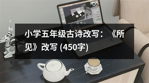 小學(xué)五年級(jí)古詩(shī)改寫(xiě)：《所見(jiàn)》改寫(xiě) (450字)