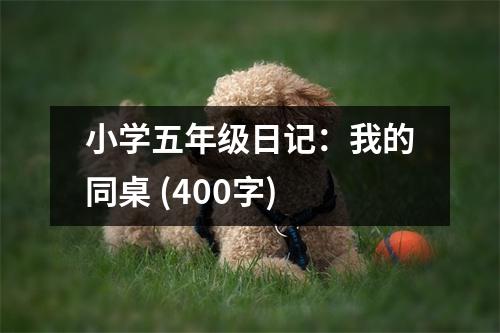 小學(xué)五年級(jí)日記：我的同桌 (400字)