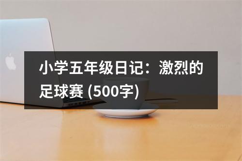 小學(xué)五年級日記：激烈的足球賽 (500字)