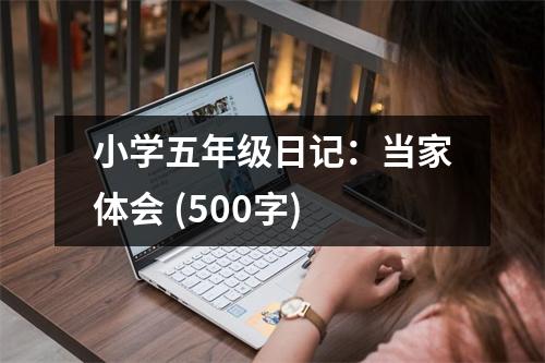 小學(xué)五年級日記：當(dāng)家體會 (500字)