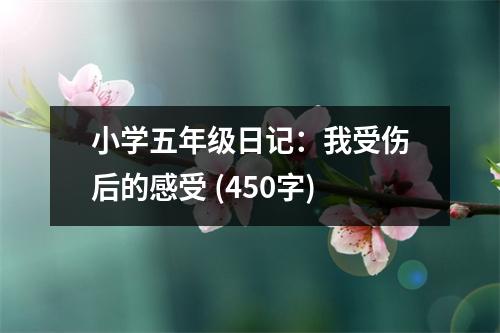 小學(xué)五年級(jí)日記：我受傷后的感受 (450字)