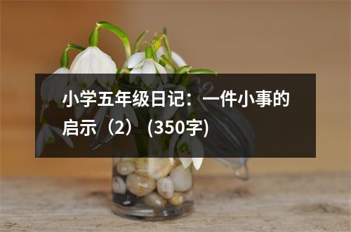 小學(xué)五年級日記：一件小事的啟示（2） (350字)