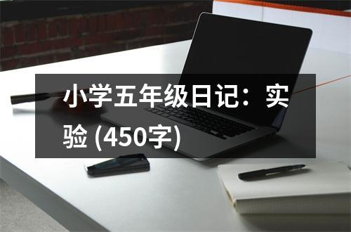 小學(xué)五年級(jí)日記：實(shí)驗(yàn) (450字)