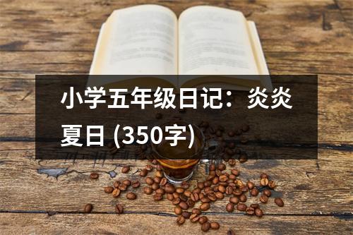 小學(xué)五年級(jí)日記：炎炎夏日 (350字)
