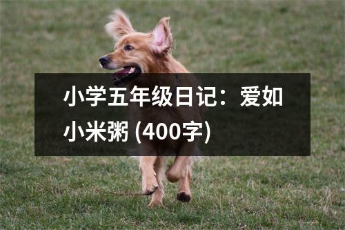 小學五年級日記：愛如小米粥 (400字)